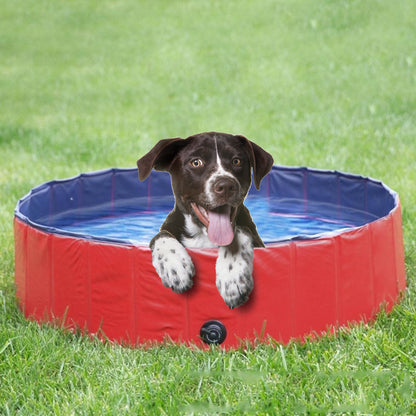 Dog Pool, 160*30/120*30 Foldable Large and Small Dog Pool, Dog Bath, 100% Safe & Non Toxic Kid's Rigid Pool